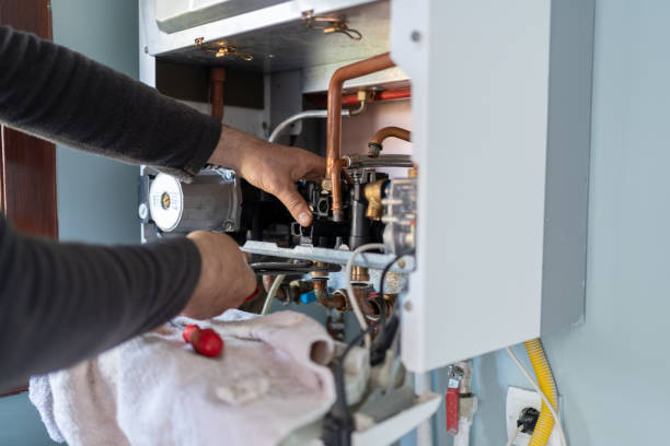 Best Clogged Drain Plumber  in Hilton, NY